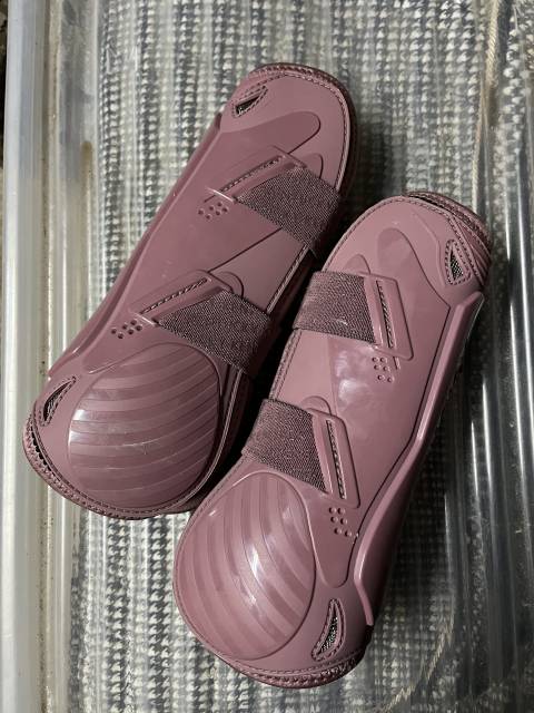 Protections Kentucky rose 