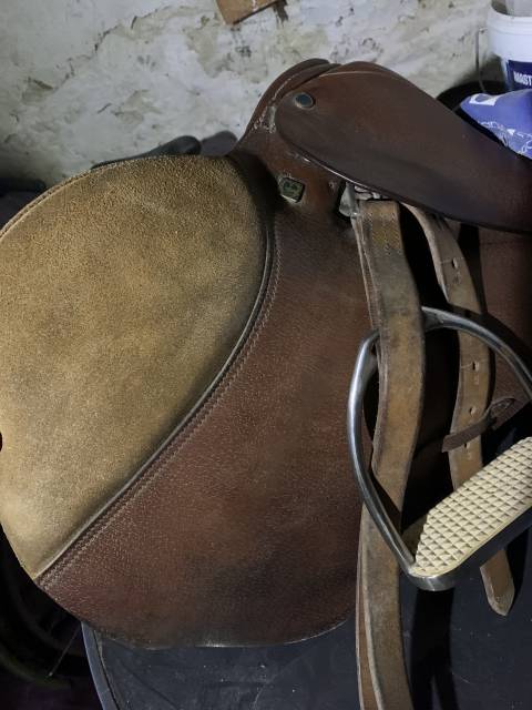 Selle Stubben Siegfried