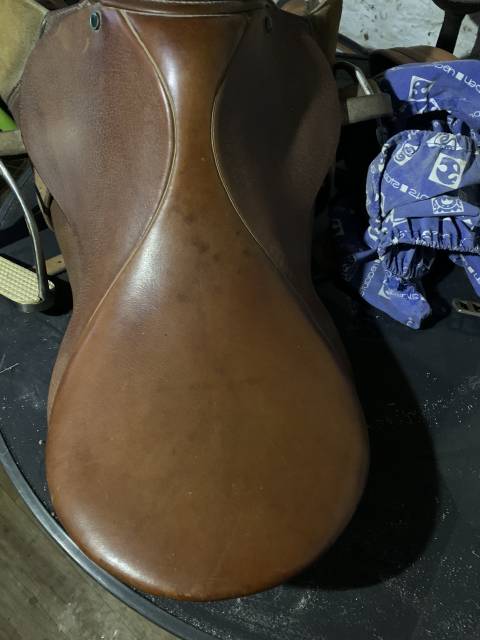 Selle Stubben Siegfried