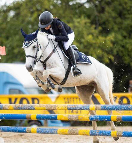 Jument connemara a vendre 2011 gris par va tout du ruere