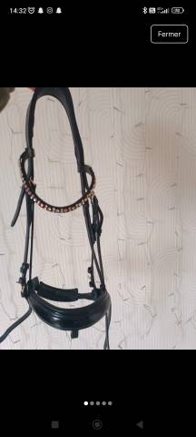 Filet anatomique + rênes 