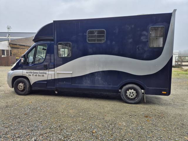 Camion chevaux 2 places  ✨ citroën jumper 