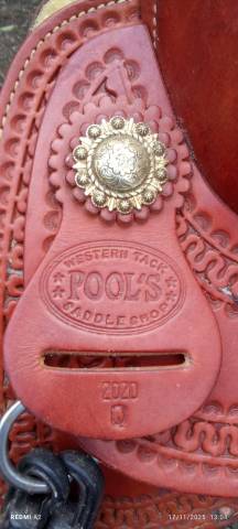 Pool's Selle Western 2020 Reiner