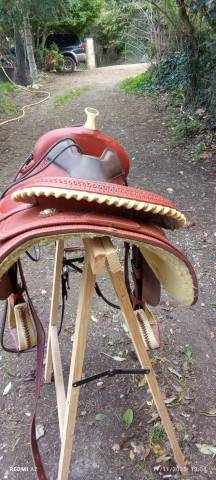 Pool's Selle Western 2020 Reiner