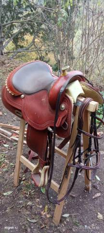 Pool's Selle Western 2020 Reiner