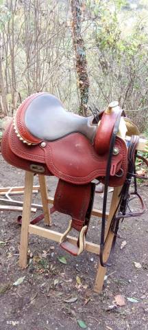 Pool's Selle Western 2020 Reiner