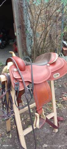 Pool's Selle Western 2020 Reiner