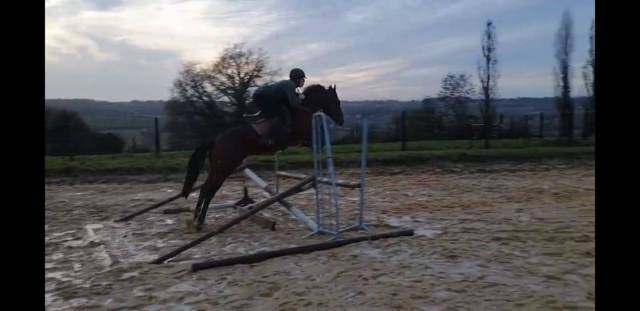 Entier 4 ans prometteur cso/cce