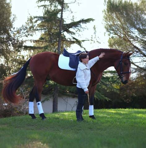 Cobalt ▫️pure race espagnole