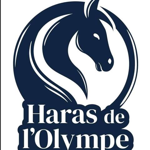 Animateur enseignement 