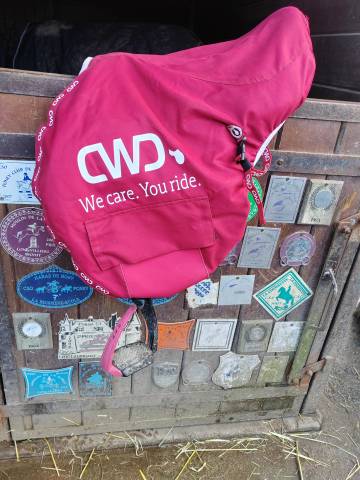 Selle CWD parfait &eacute;tat 