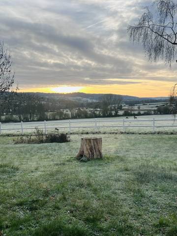 Pension pré - haras de mittois - saint-pierre-sur-dives (14) 