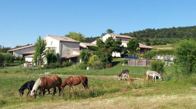 En ardèche , 13 hectares propriété ,avec location gîte