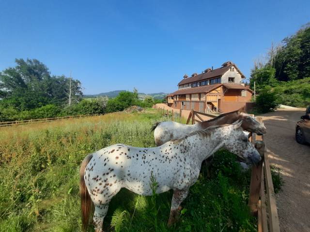 Ouverture de pension?