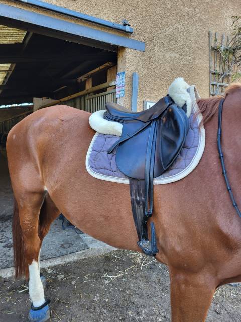 Selle Devoucoux 2002 en bon &eacute;tat 17,5