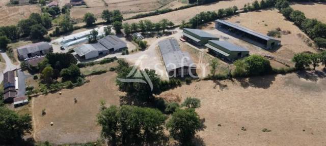 Belle exploitation d'elevages en bovins et ovins sur 242 ha