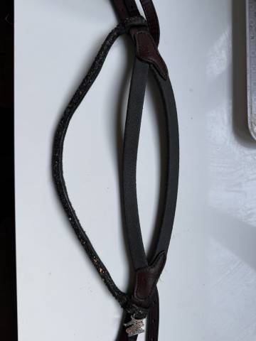 Bridon in horse we trust frontal disco vague parfait 