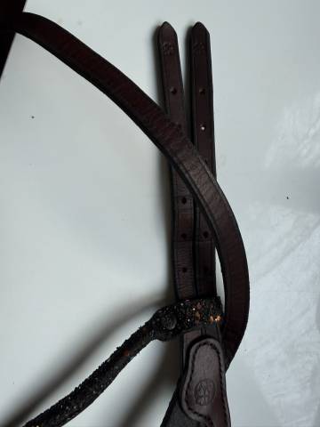 Bridon in horse we trust frontal disco vague parfait 