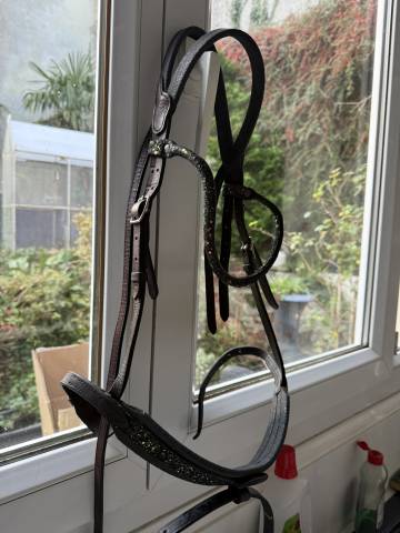 Bridon in horse we trust frontal disco vague parfait 