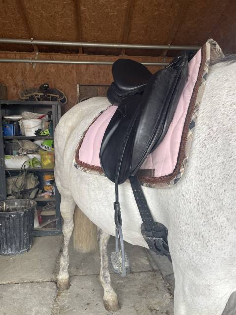 Selle de dressage