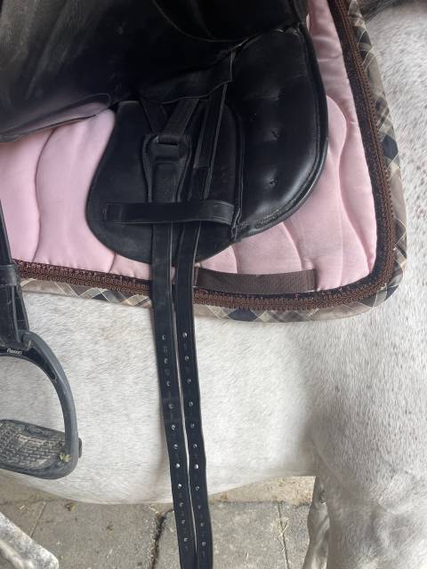 Selle de dressage