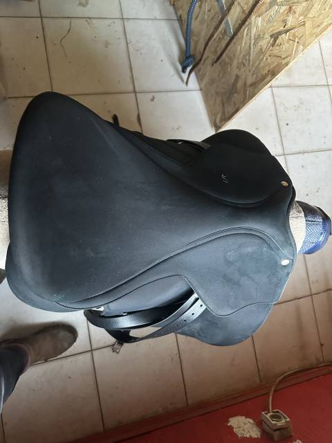 Selle Wintec Isabelle T18.5 