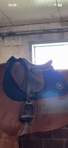 Selle Antares &agrave; vendre 