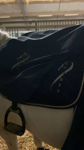 Selle Antares &agrave; vendre 