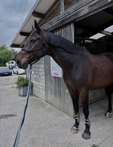 Recherche demi / tiers de pension