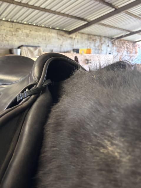 Selle Time rider infinity III