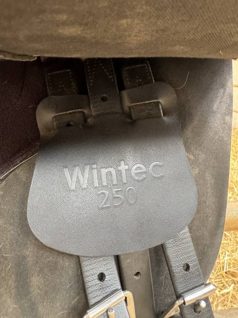 Selle wintec 250 - 17,5 pouces 