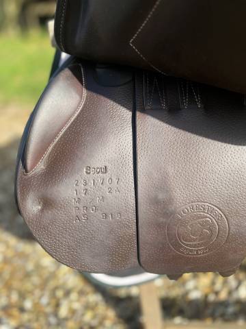 Selle S&eacute;oul forestier