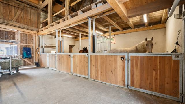 Ferme équestre rénovée avec 4 boxes et un paddock