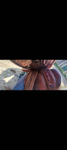 Selle marron 16.5 