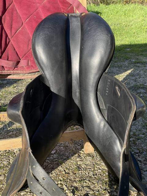 Selle obstacle cross Aulion 17,5