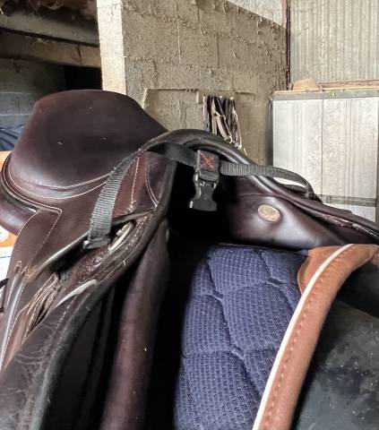 Selle GBS mixte de 2021