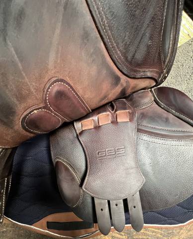 Selle GBS mixte de 2021