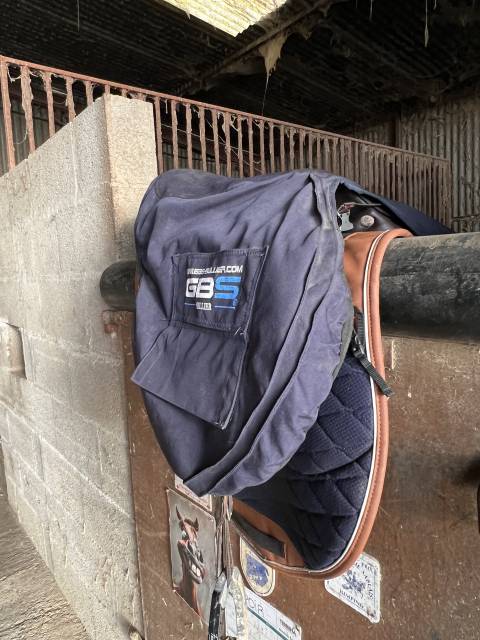 Selle GBS mixte de 2021