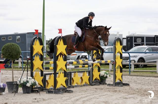 Jument de 11 ans à vendre