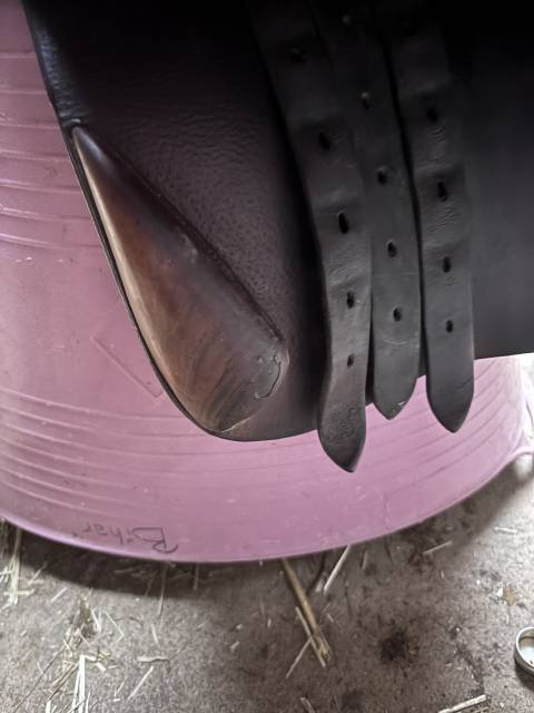 Selle bruno Delgrange 