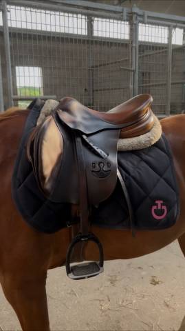 Selle bruno Delgrange 