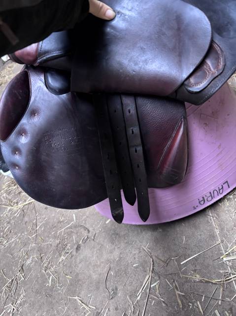 Selle bruno Delgrange 