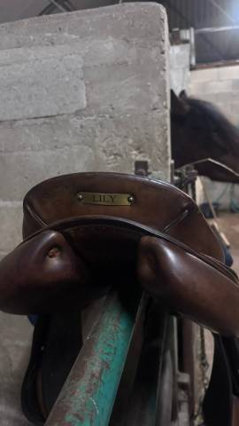 Selle bruno Delgrange 