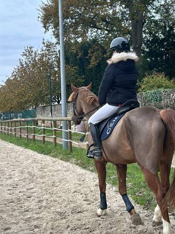 Doudoune p&eacute;n&eacute;lope Leprevost 