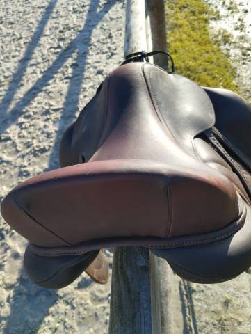 Selle antares dressage cadence 