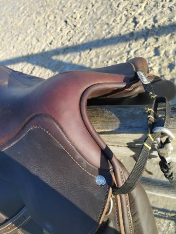 Selle antares dressage cadence 
