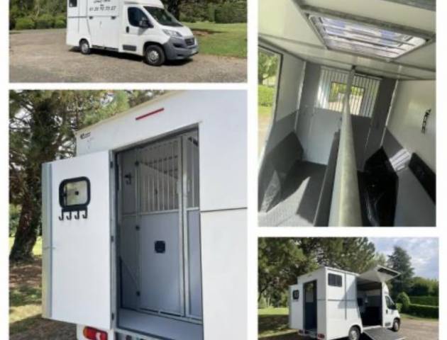 Achat ou location camion chevaux 2 places 
