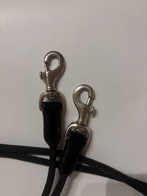 R&ecirc;nes allemandes 