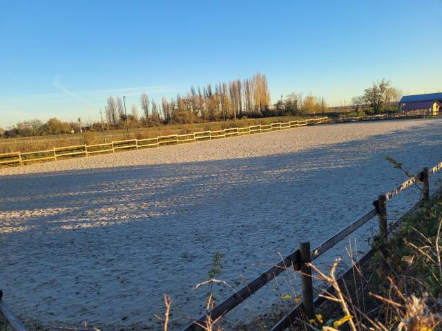 Pension écurie dynamique