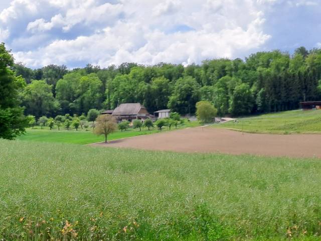 Cherchons employé polyvalent 50-100%